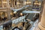 Thumbnail for the post titled: Remembrance Sunday 2022 – Kelvingrove Museum