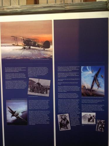 2014 Commonwealth Games Display - Mitchell Library